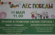 Лес победы