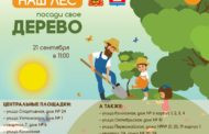 Посади свое дерево