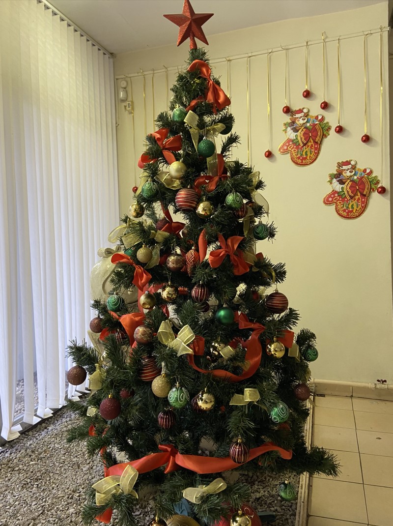 А в нашей музыкальной школе  - новогоднее настроение!